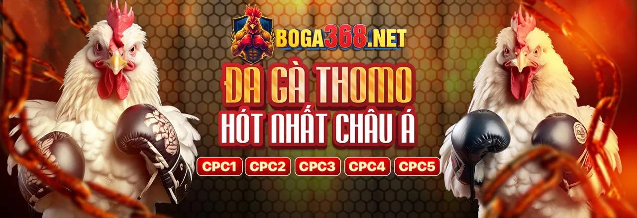 Giao diện ứng dụng CG79 với các tính năng nổi bật