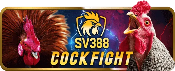 Đồ họa sống động và âm thanh chân thực của trò chơi slot trên ứng dụng CG79